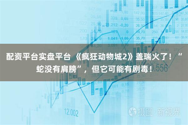 配资平台实盘平台 《疯狂动物城2》盖瑞火了！“蛇没有肩膀”，但它可能有剧毒！