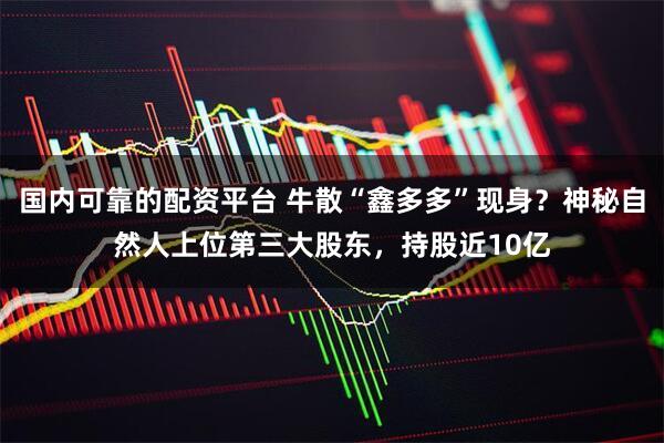 国内可靠的配资平台 牛散“鑫多多”现身？神秘自然人上位第三大股东，持股近10亿